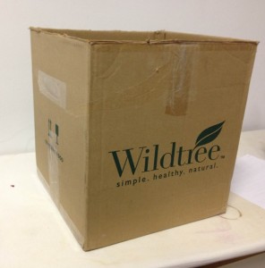 wildtreebox